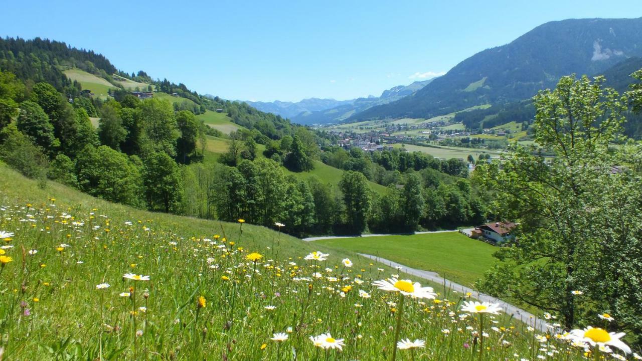 Apartament Franbichl Brixen im Thale Zewnętrze zdjęcie